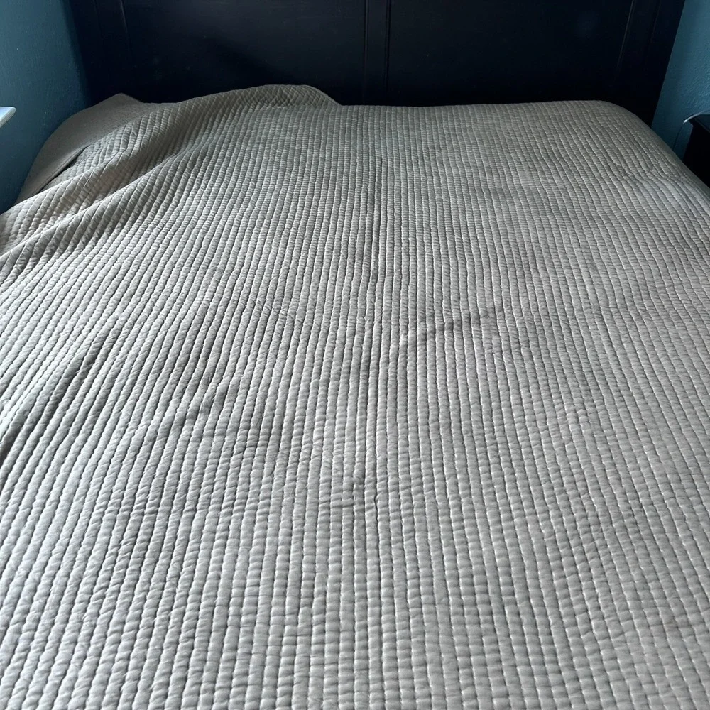 Pottery Barn Queen‎ Quilt Reversible Velvet Silk Cotton 90